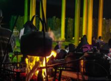 گزارش ویدئویی پویش شمیم انتقام