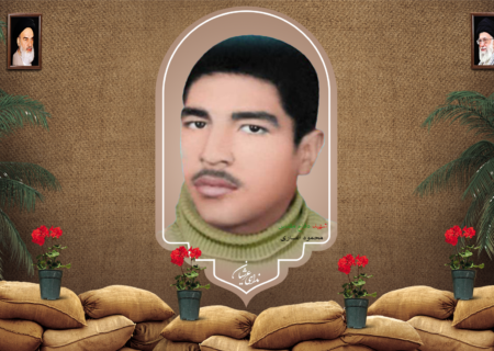 شهید محمود انصاری